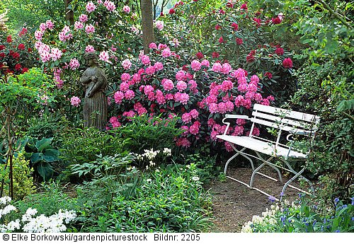 Sitzplatz mit Rhododendron
