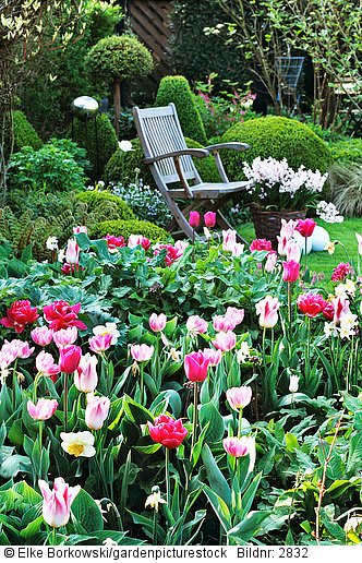 Sitzplatz und Tulpenbeet