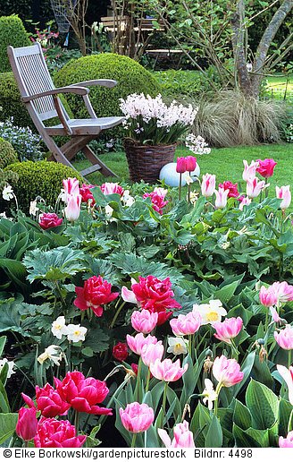 Sitzplatz mit Tulpen
