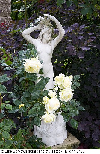 Statue mit Rose