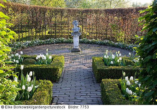 Formaler Garten mit Tulpen White Triumphator