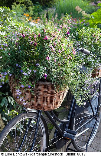 Fahrrad mit Blumenkorb