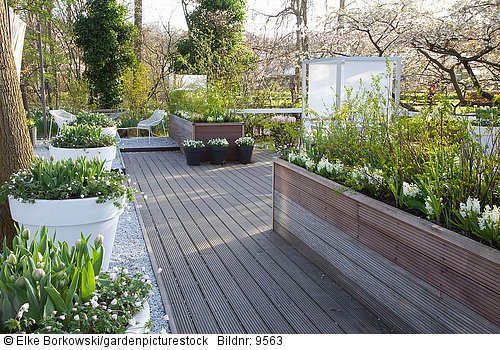Moderner Patiogarten im Frühling