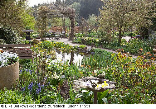 Garten mit Teich im Frühling