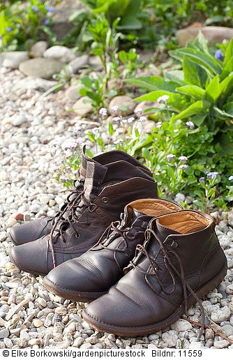Schuhe der Gartenbesitzer
