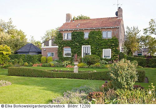 Haus mit Vorgarten und Begrünung Hydrangea petiolaris