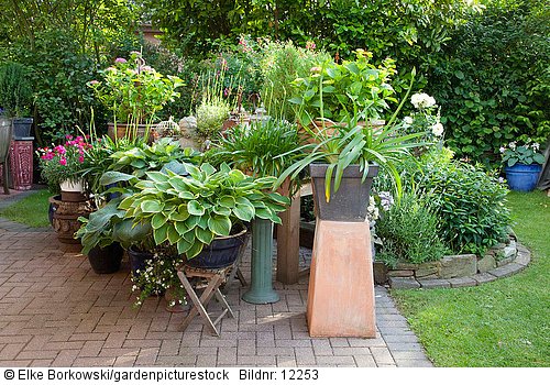 Terrasse mit Kübelpflanzen