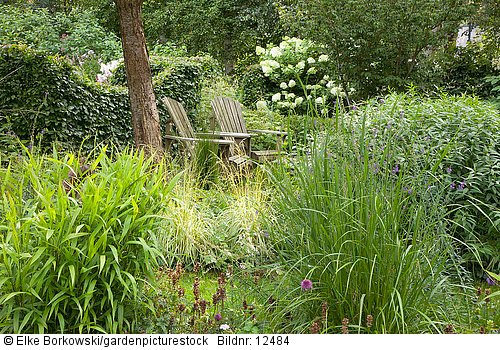 Naturgarten mit Sitzplatz und Gräsern