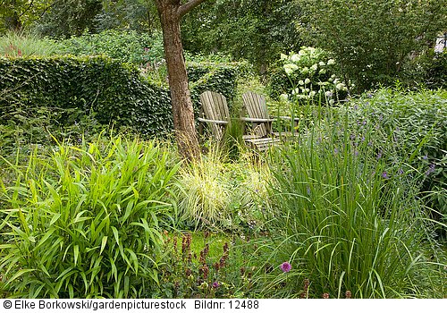 Naturgarten mit Sitzplatz und Gräsern