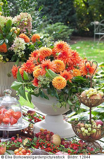 Floristik mit Dahlien im Garten