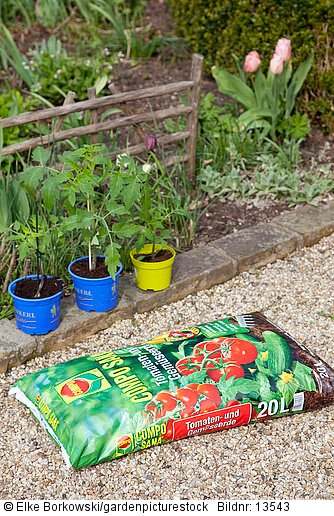 Pflanzsack für Tomaten und Tomatenpflanzen  STEP 1