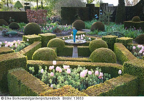 Formaler Garten mit Tulpen  Tulipa New Design  Artemisia arbrotanum