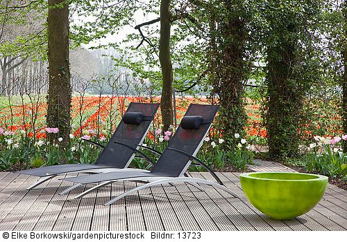 Sitzplatz mit Holzdeck  Blick auf umliegende Tulpenfelder