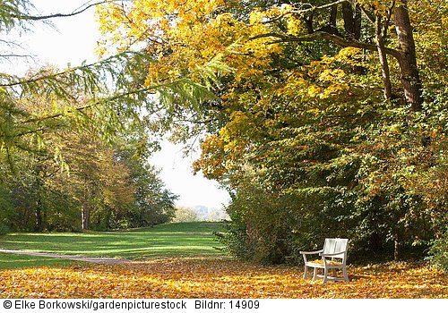 Der englische Landschaftsgarten im Schwetzinger Schlossgarten