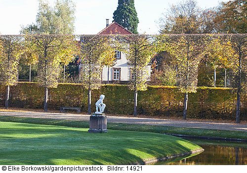 Lindenallee im Schwetzinger Schlossgarten Tilia cordata