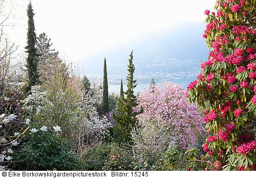 Blick über den Botanischen Garten zum Lago Maggiore