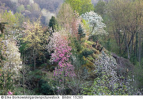 Übersicht Botanischer Garten von Otto Eisenhut