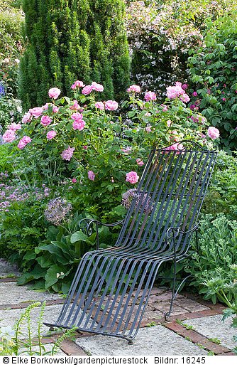 Sitzplatz im Rosengarten  Rosa Mary Rose
