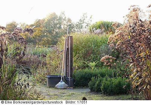 Herbstlicher Garten mit Wasserdost  Eupatorium