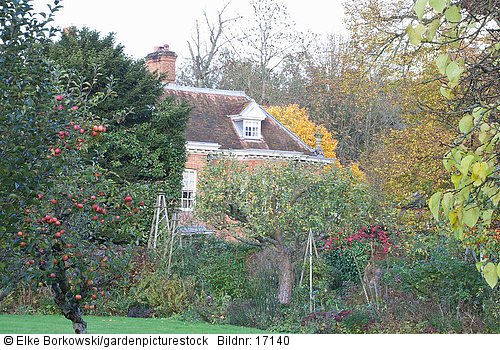 Herbstliches Beet mit Haus im Hintergrund
