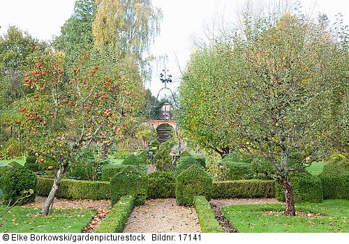 Garten mit Apfelbäumen  Malus domestica