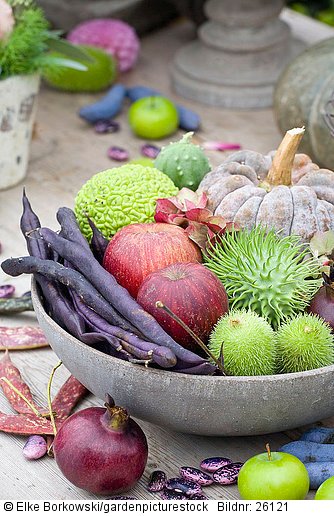 Dekoration mit Früchten und Gemüse