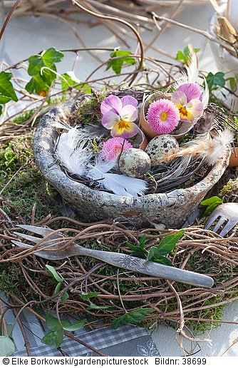 Kranz mit Tontopf  Eiern und Blüten  Bellis  Viola cornuta