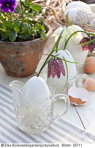 Tischdekoration Ostern  Eier als Vase Fritillaria meleagris