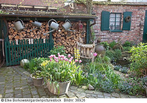 Unterstand mit Holzstapel und mit Tulpen und Narzissen bepflanzte Zinkwanne  Tulipa Arabian Mystery  Narcissus Hawera