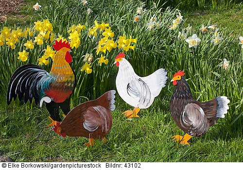 Steckfigur Hühner in Narzissenwiese