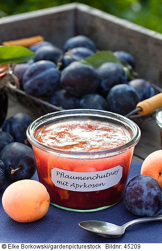 Pflaumenchutney mit Aprikosen 
Prunus domestica Cacaks Schoene