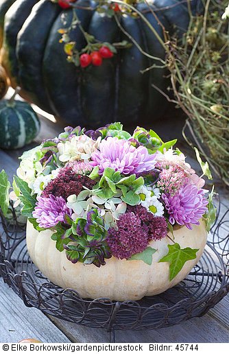 Blütengesteck mit Chrysantheme  Fetthenne und Hortensie in einem Kürbis