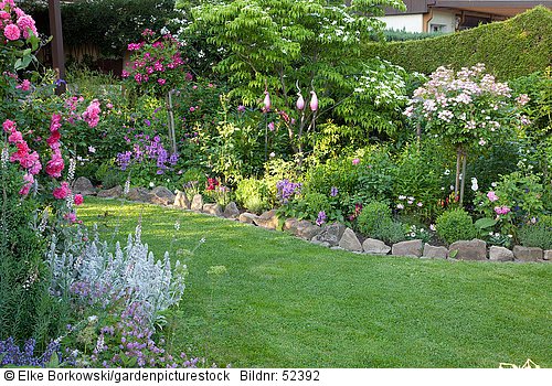 Kleiner Garten mit Rosen und Stauden  Rosa Ballerina  Rosa Rosarium Uetersen