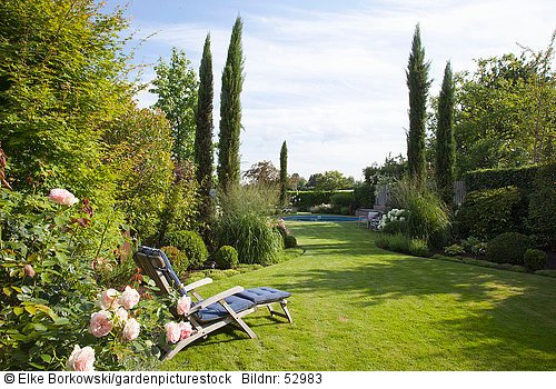 Garten mit Mittelmeerzypressen  Cupressus sempervirens  Rosa Aspirin