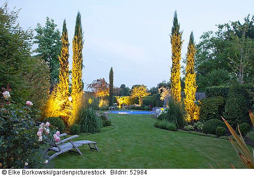 Beleuchteter Garten mit Mittelmeerzypressen  Cupressus sempervirens