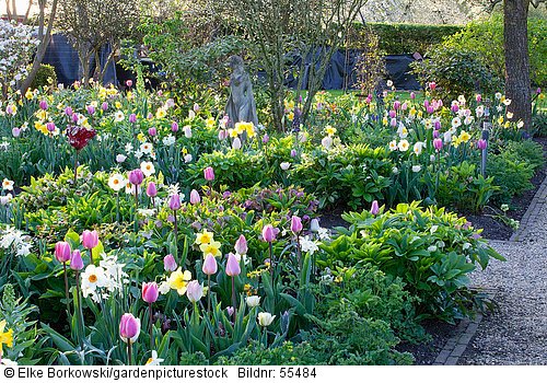 Frühlingsgarten mit Zwiebelblumen