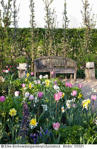 Sitzplatz im Frühlingsgarten mit Zwiebelblumen