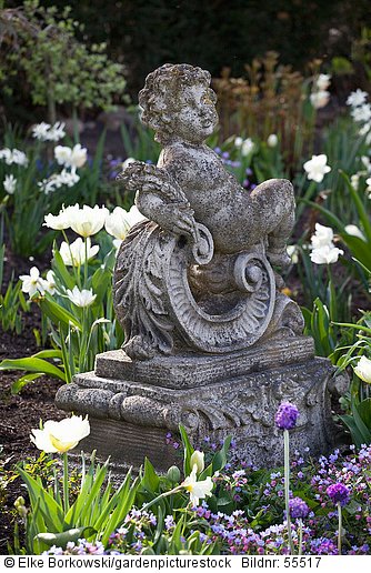 Putte im Frühlingsgarten  Tulipa Exotic Emperor
